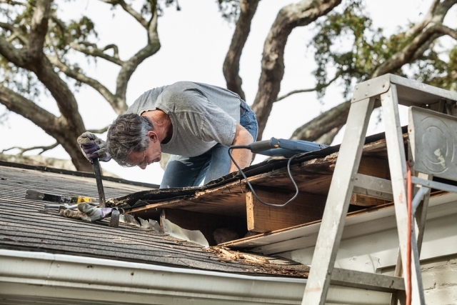 Man Examining And Repairing Roof