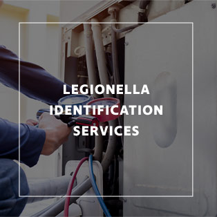 Legionella Identification Services
