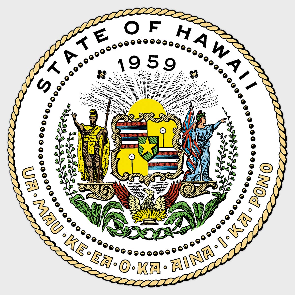 State of Hawaii Department of Health L-23-005